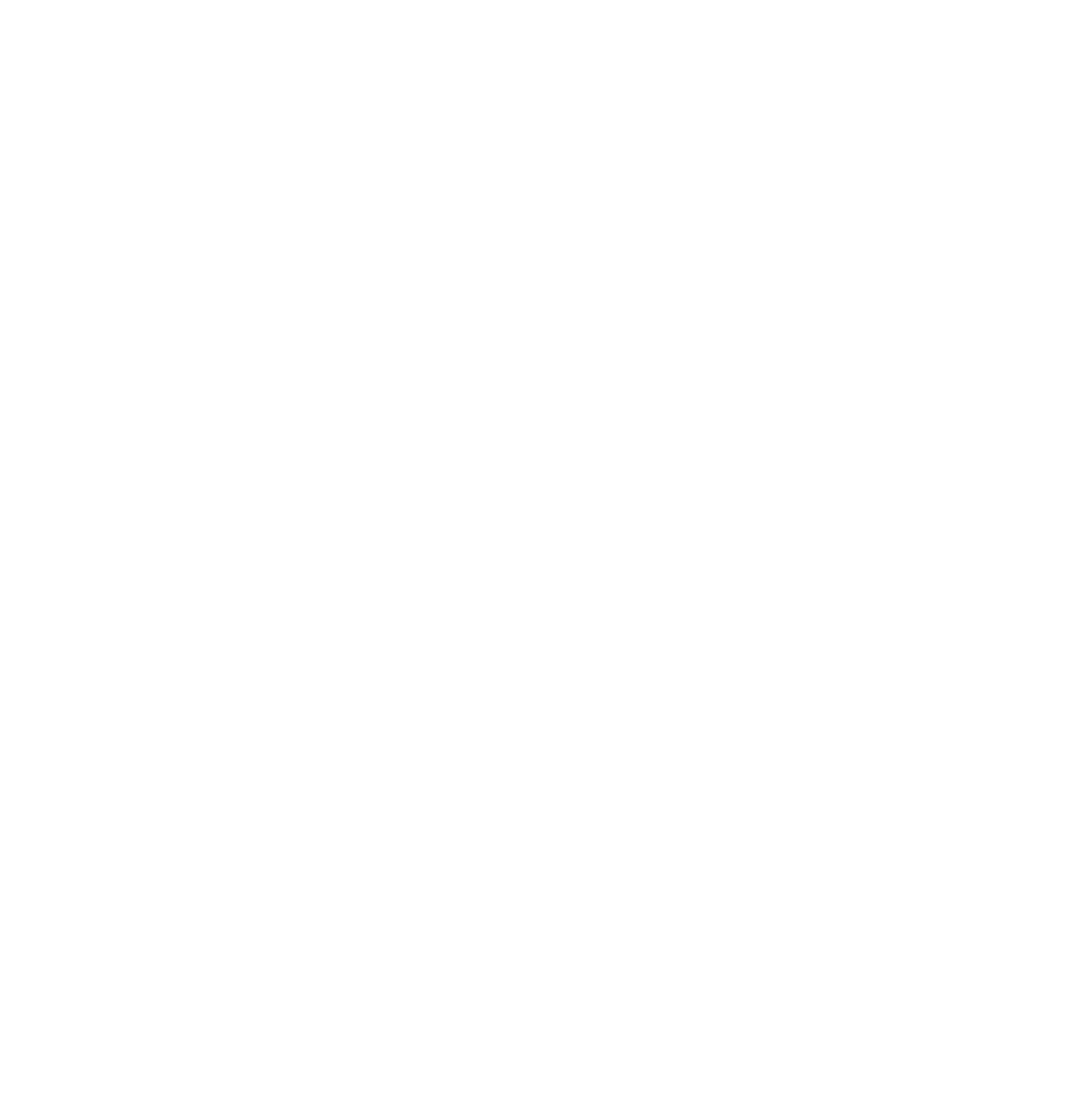 The Mick